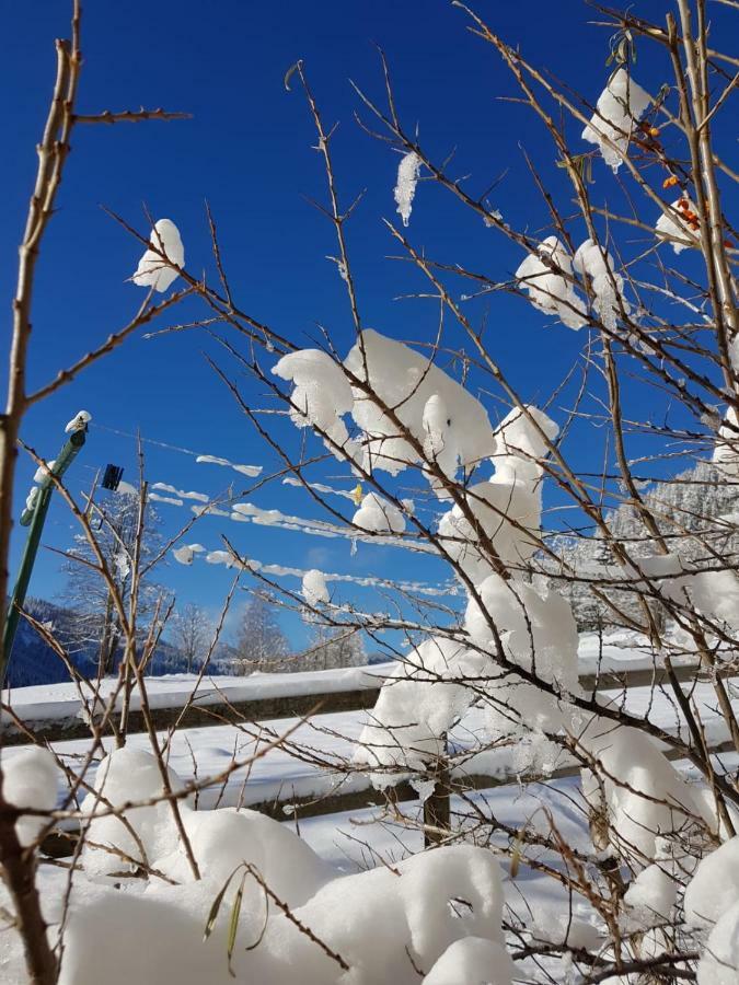 Alpengasthof Grobbauer Rottenmann Eksteriør billede
