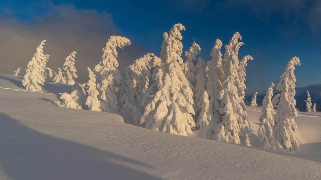 Alpengasthof Grobbauer Rottenmann Eksteriør billede